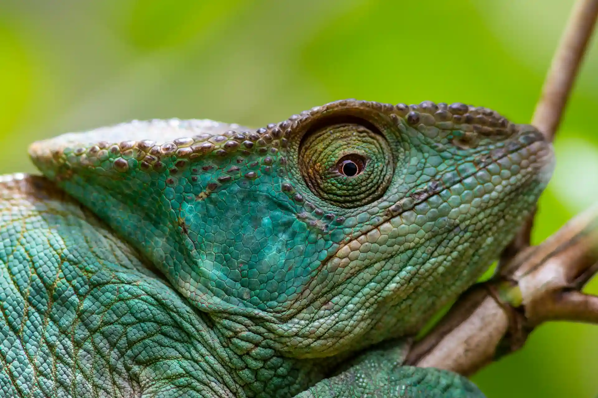 Antananarivo Madagascar