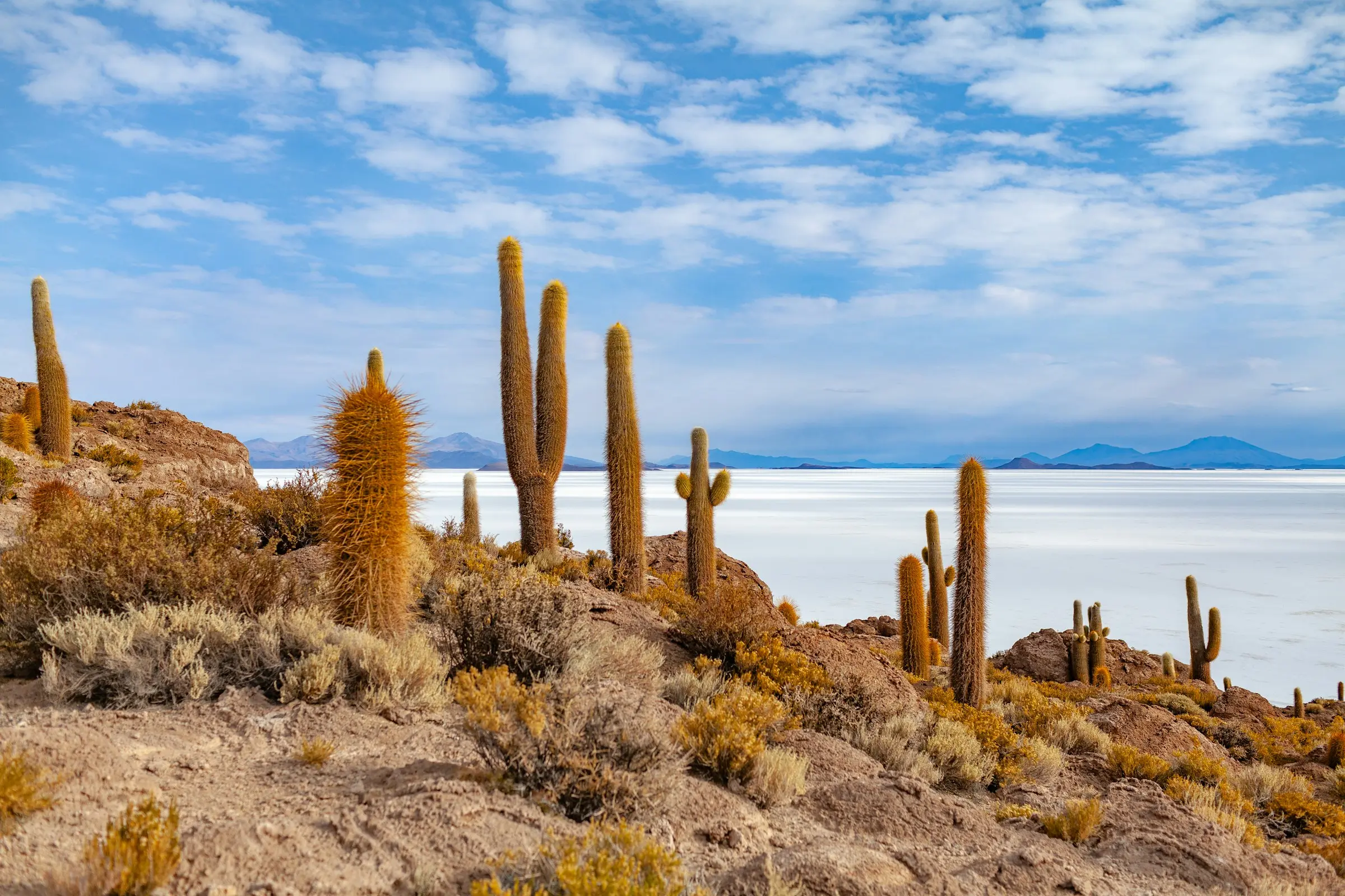 Salar de Uyuni en Bolivie